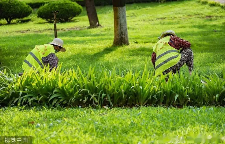 现代主义园林景观设计思想